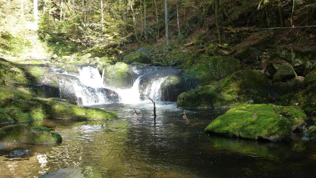 Ferienwohnung Fernblick Freyung Buitenkant foto